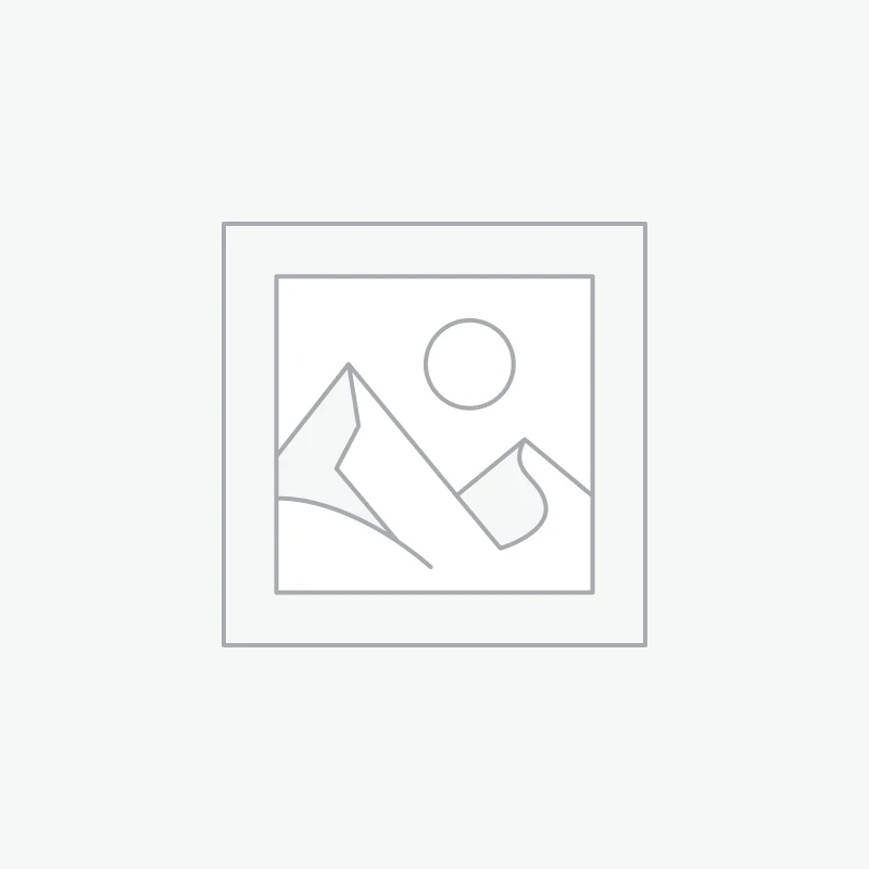 Budgeting Workbook